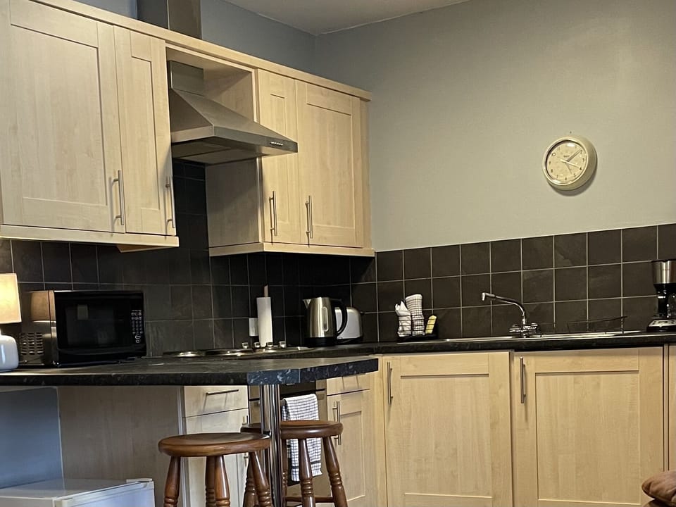 Apartment | Private kitchen | Fridge, microwave, oven, stovetop