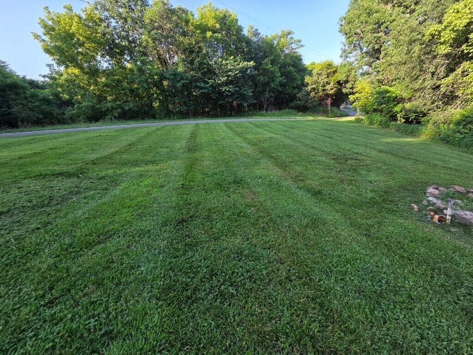 Left Side Yard ... with a fire pit