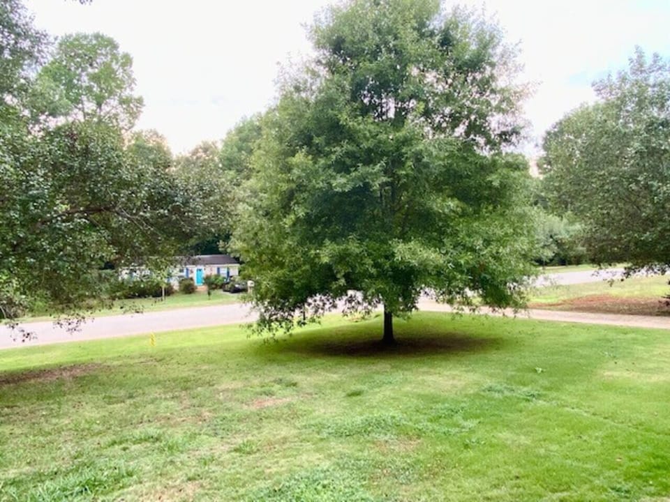 Front Yard