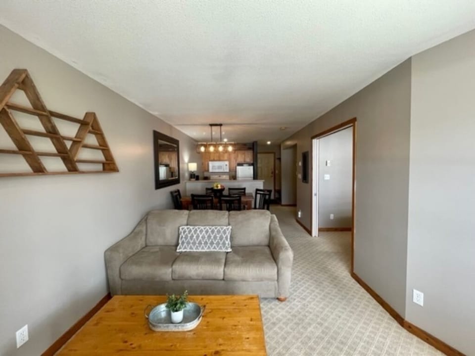 Living Room with Pull out couch 