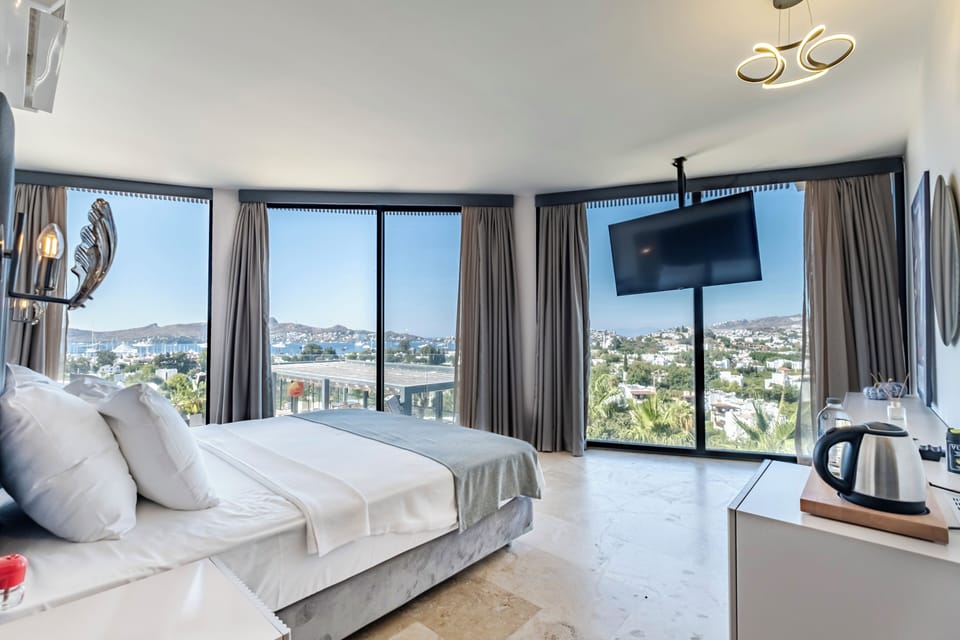 Suite Room | View from room