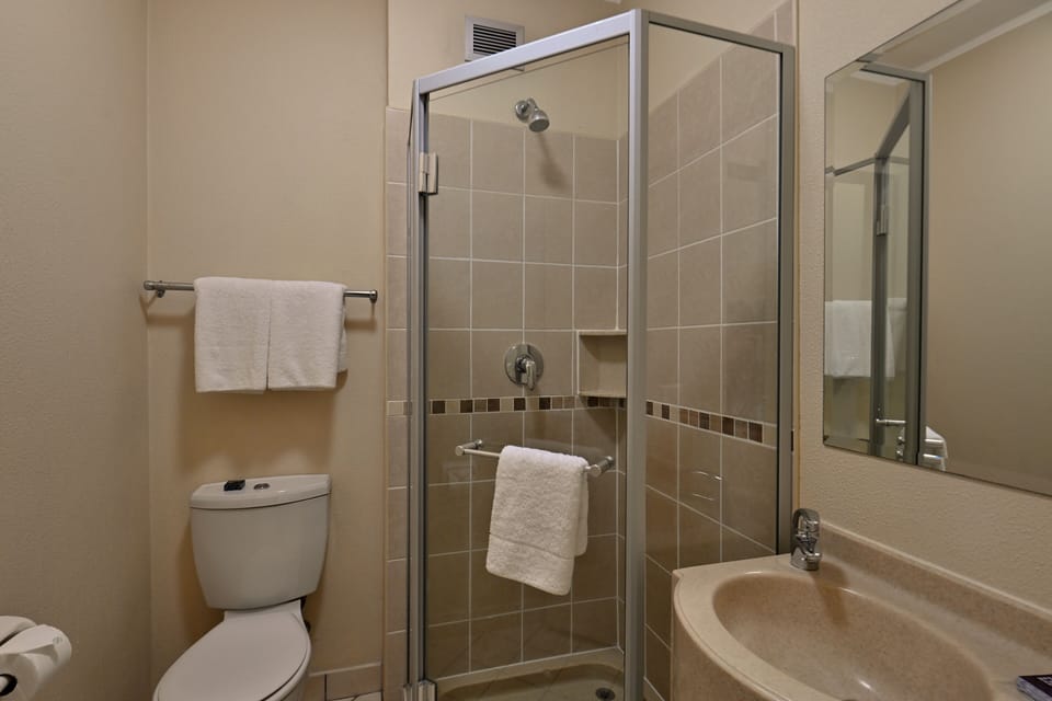 Shower, free toiletries, hair dryer, towels