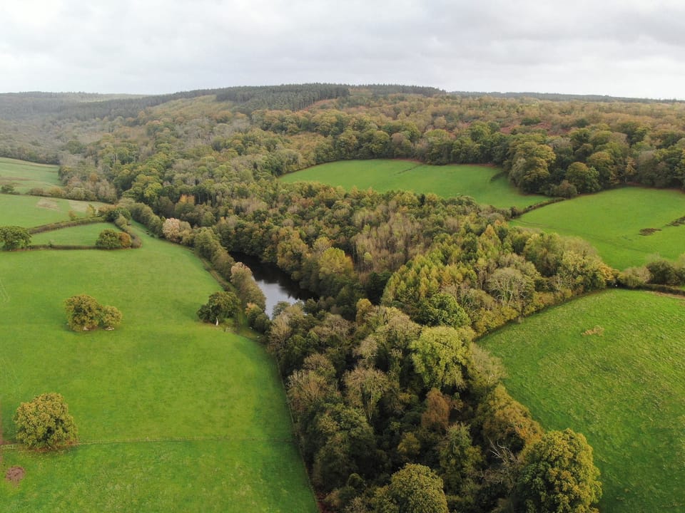 Cottage | Aerial view