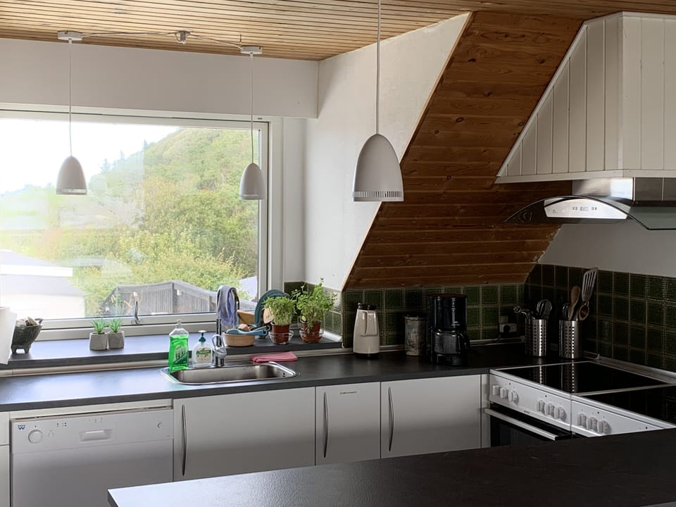 Basic Quadruple Room | Shared kitchen facilities | Fridge, microwave, oven, stovetop