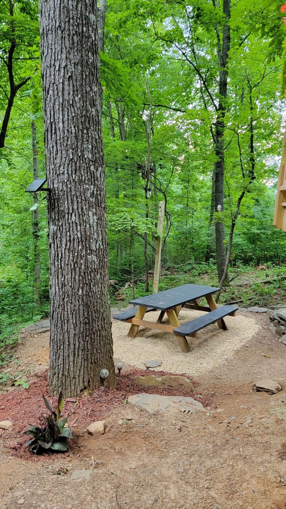 A sweet place to have a picnic
