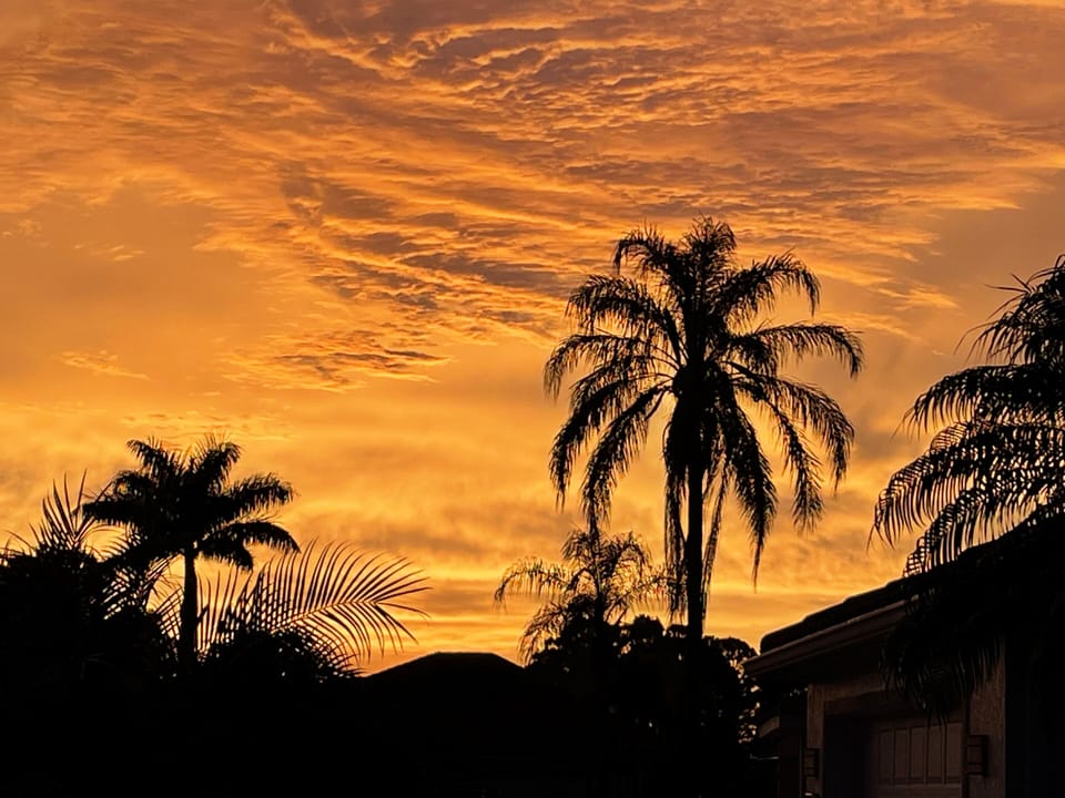 Just one of our famous sunsets
