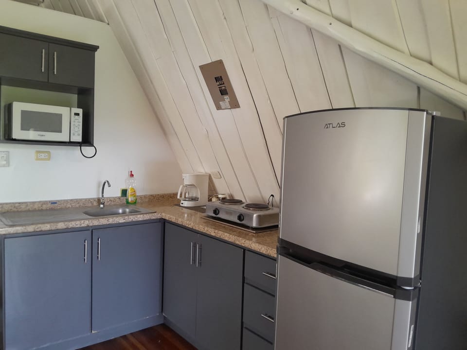 Family Tree House | Private kitchen | Freezer