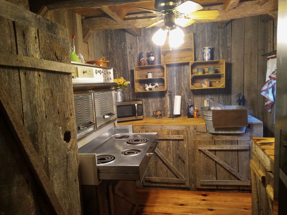 rustic handmade craftsmans cabinets with modern stainless-steel appliances

