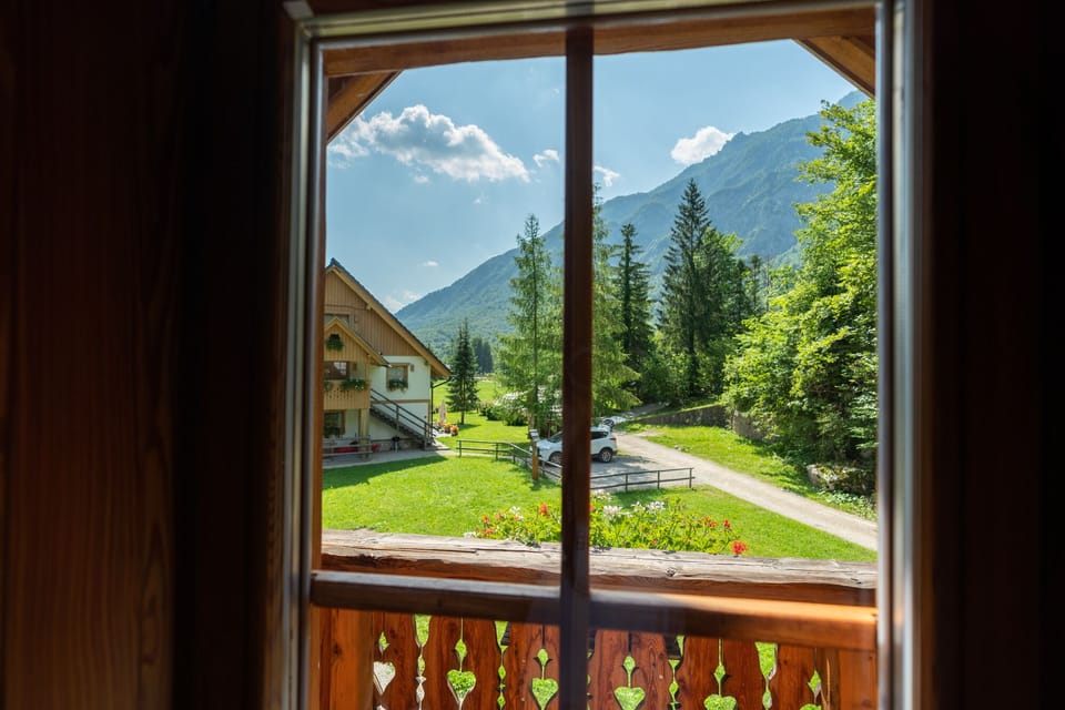 Window view