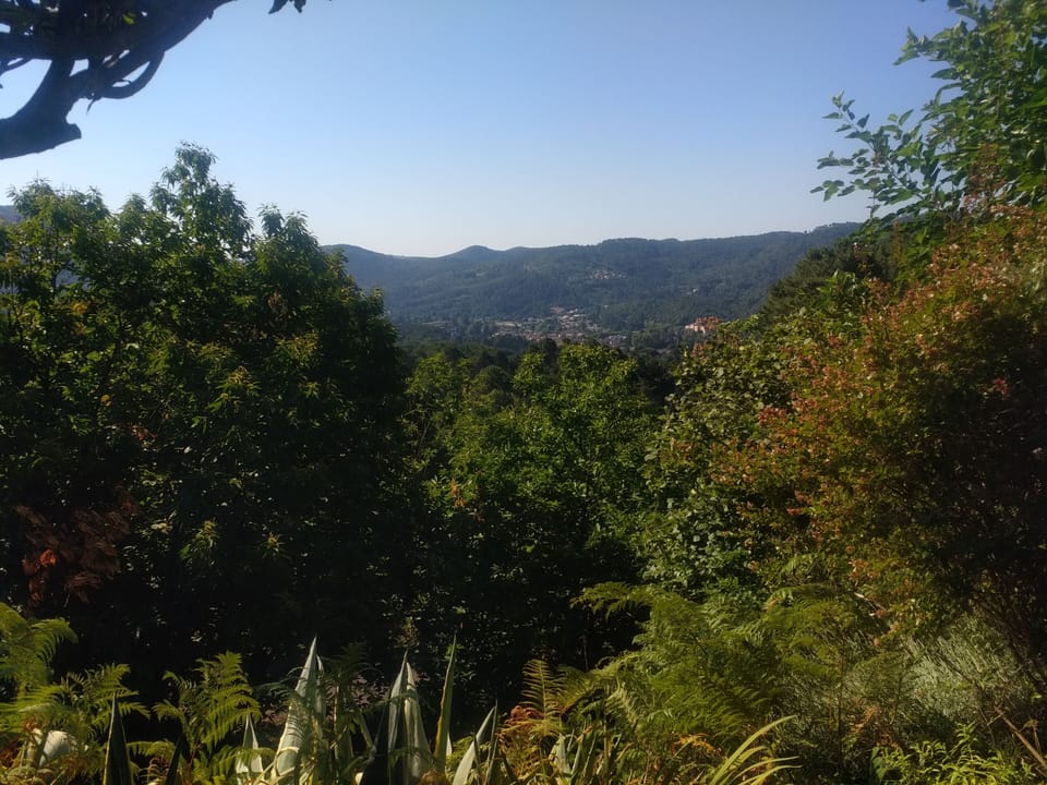 Land view from property