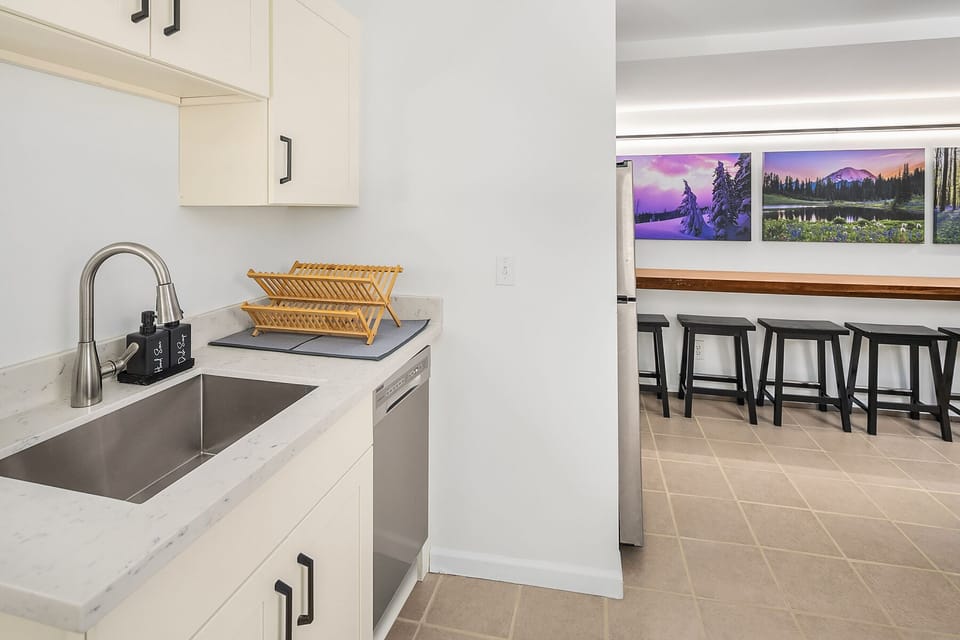 Kitchen sink & dishwasher