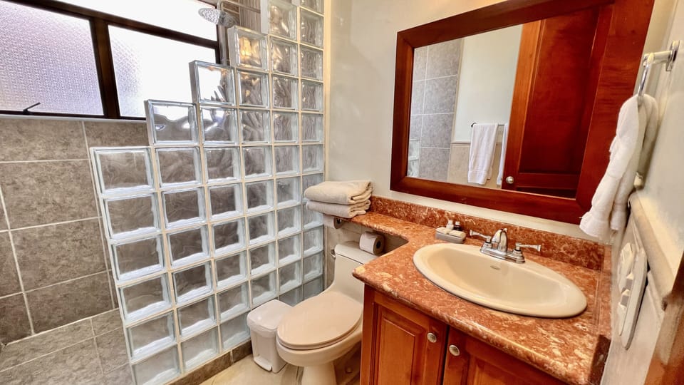 Guest bathroom