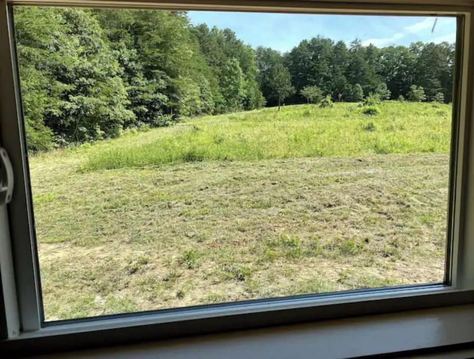 View from the loft area to the fruit orchard.
