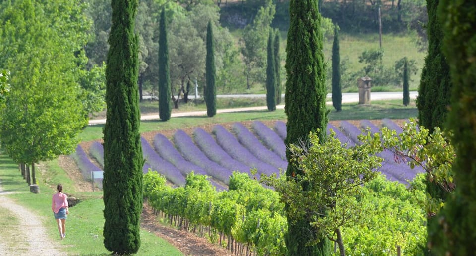 Provence