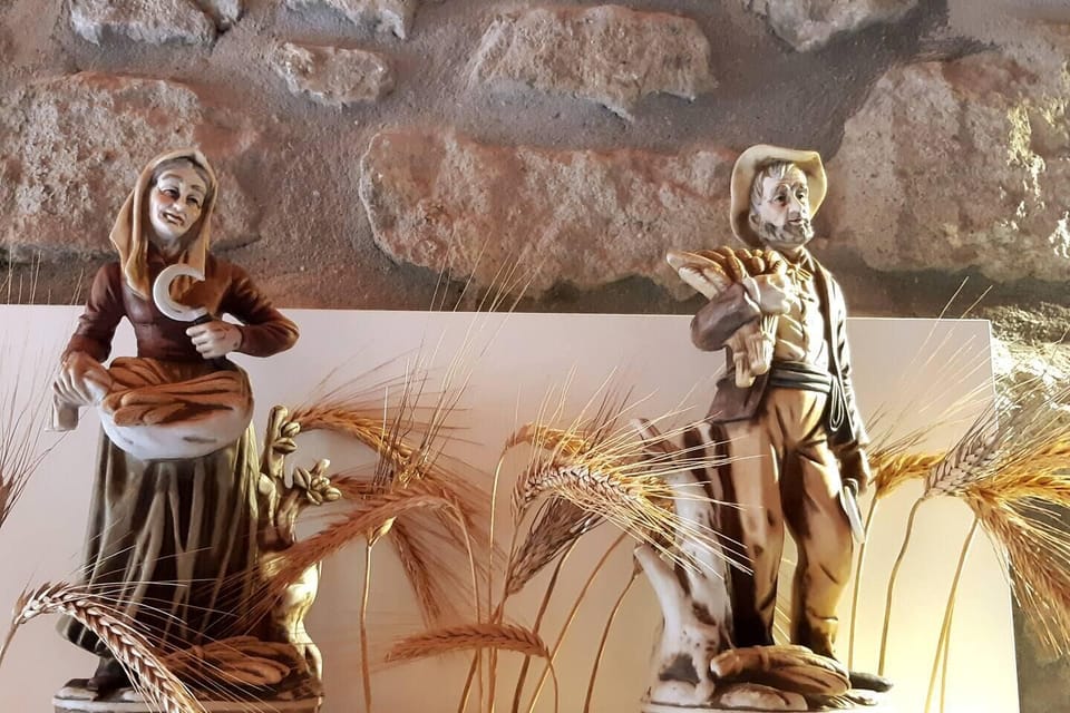 Image 14