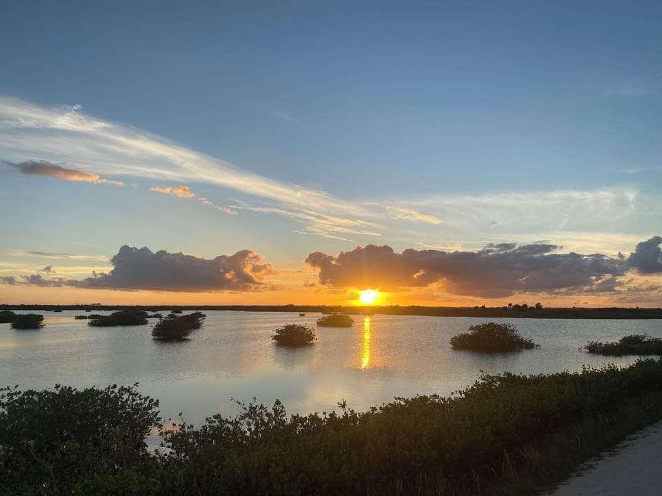 Nature trail 10 minutes drive. Birdwatchers Paradise.
