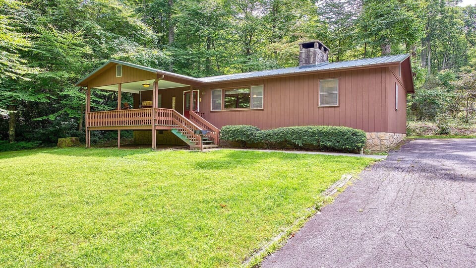 Wide open space in front of the cabin for kids to play, or dogs to frolic!