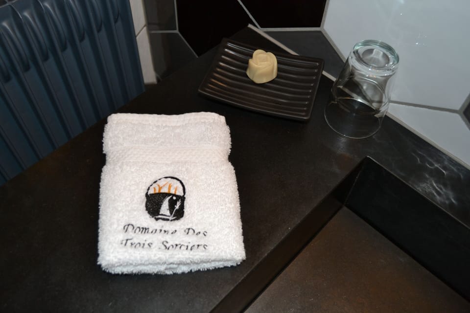 Deluxe Double Room, 1 King Bed | Bathroom | Shower, rainfall showerhead, free toiletries, hair dryer