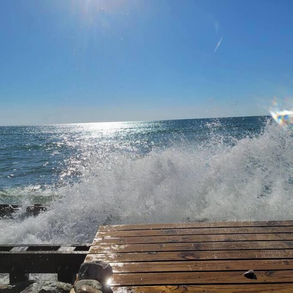 You can be a mermaid too from our deck.