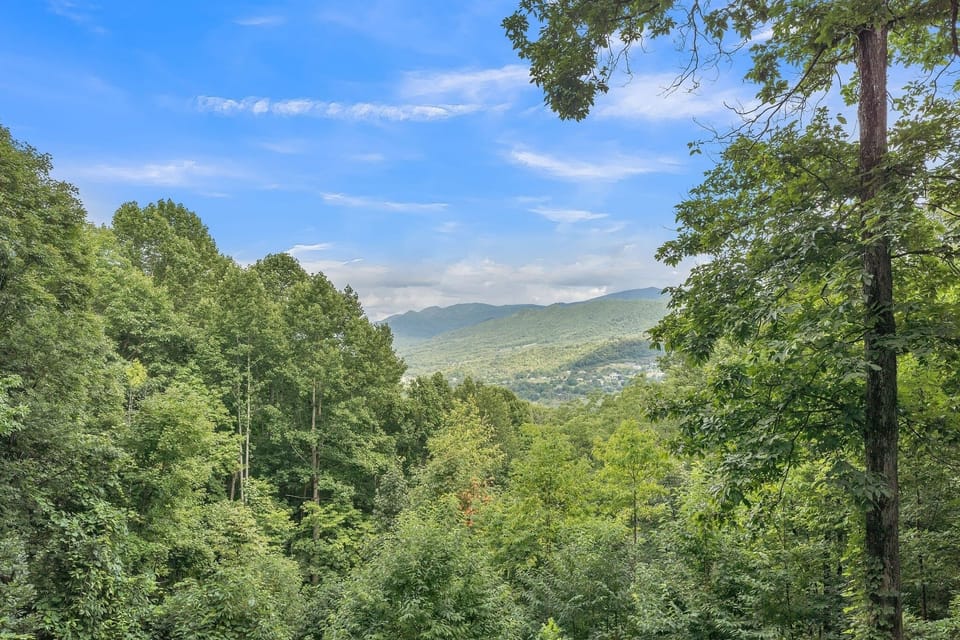 Nature, Outdoors, Vegetation, Tree, Countryside