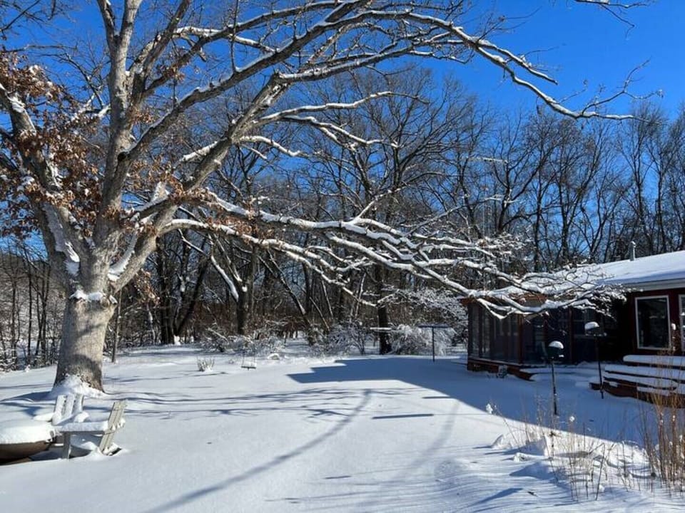 Winter wonderland.  Time to head to Barlow Library to check out ice skates!