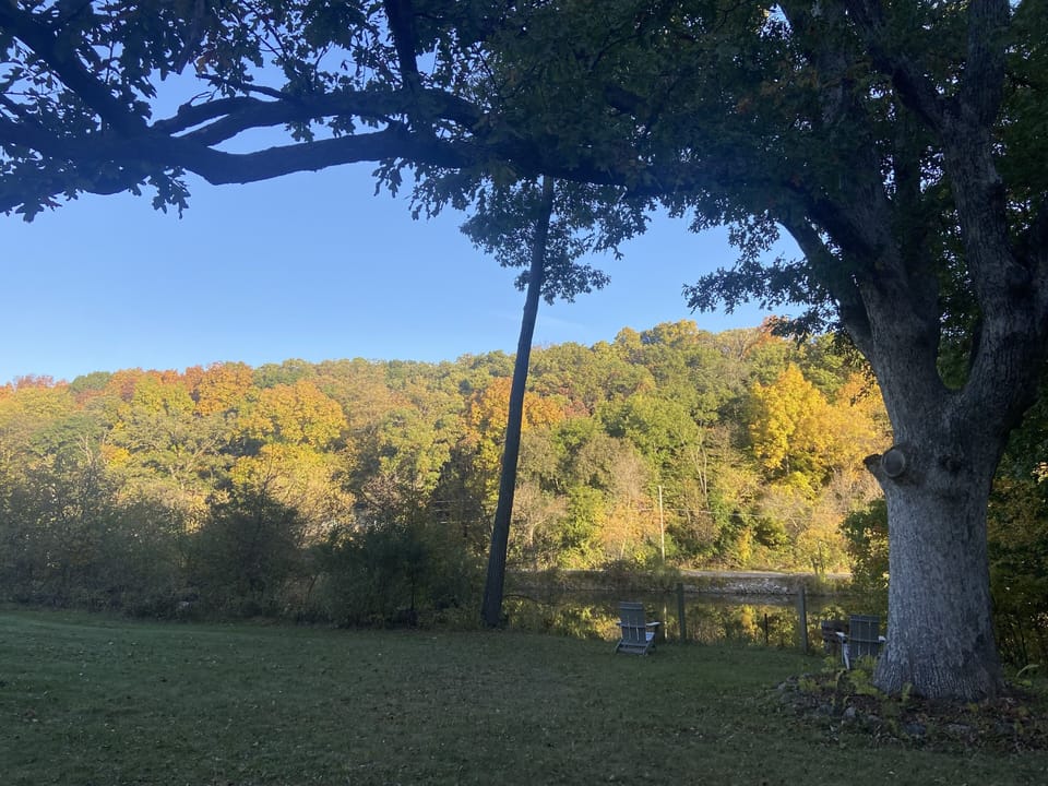 Fall colors from the backyard.