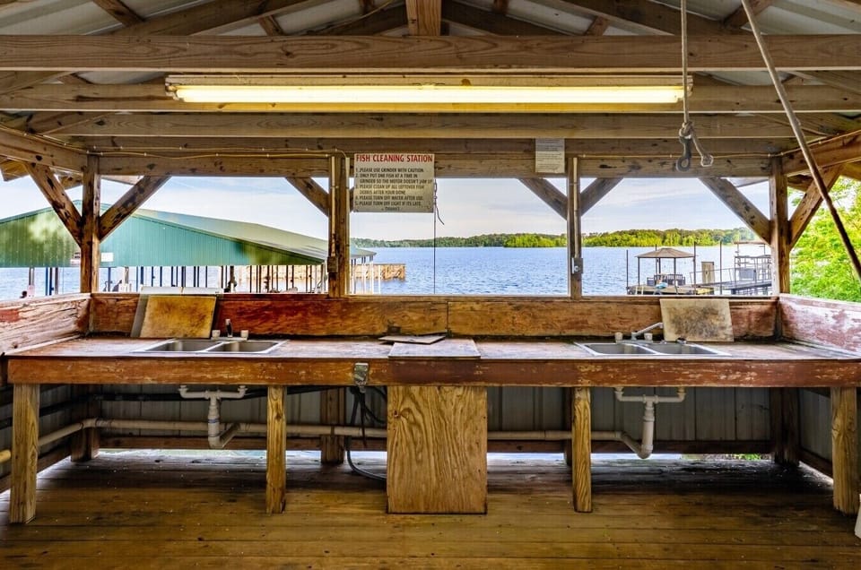 Fish Cleaning Station