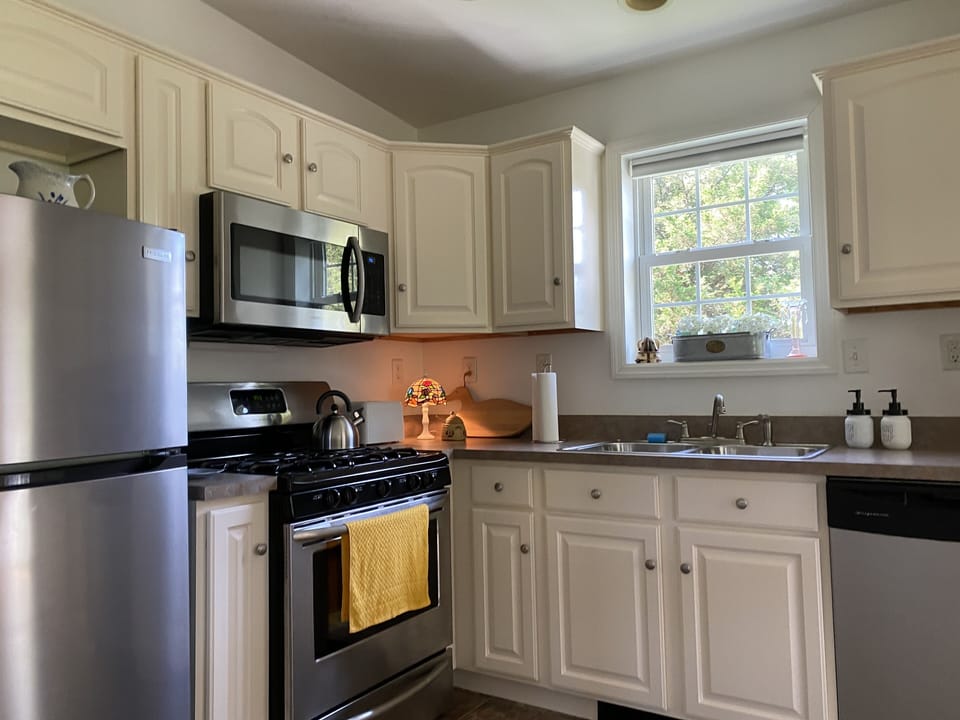 Kitchen stocked with cooking basics (salt, pepper, spices, oil). Gas stove.