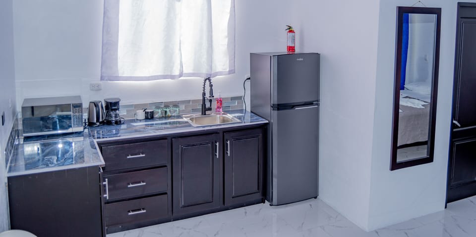 Superior Room, 1 Queen Bed, Kitchenette, Park View | Private kitchen | Coffee/tea maker, fridge, microwave, electric kettle