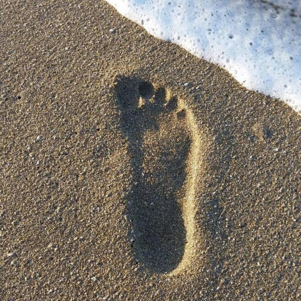 Leave nothing but footprints