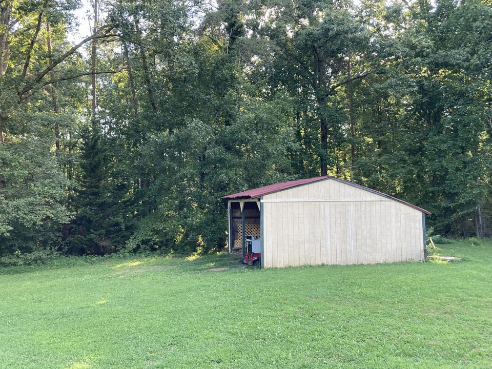 More of back lawn. 