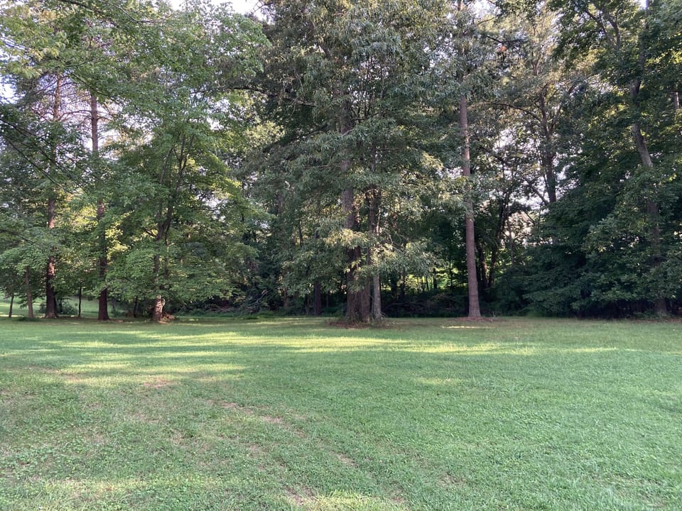 Another part of very large backyard.
