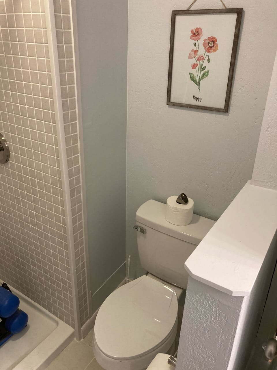 Hall bathroom.