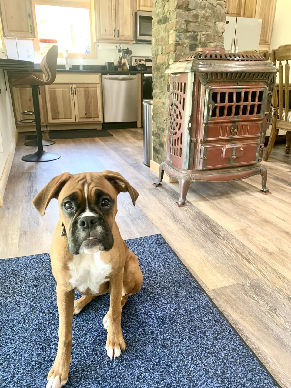 Doggies are welcome & you wouldn’t even know it because our place is super clean