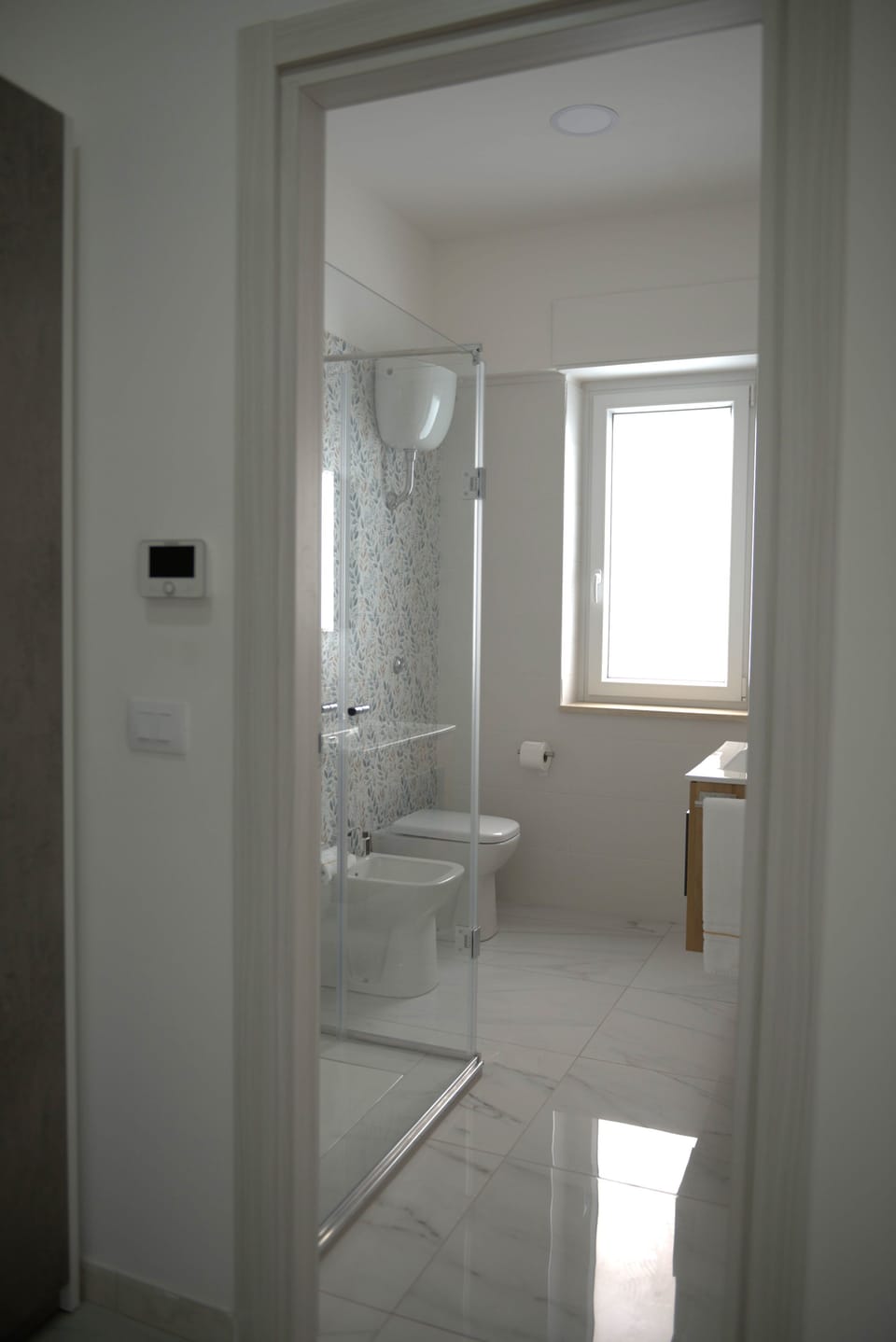 Hair dryer, bidet, towels