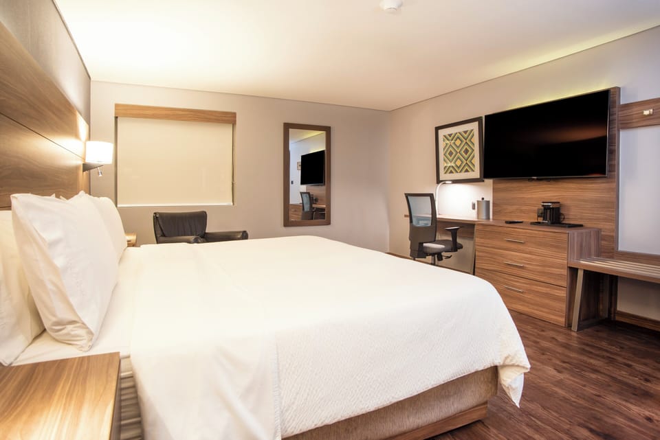 Suite, 1 King Bed | In-room safe, desk, iron/ironing board, WiFi (free)
