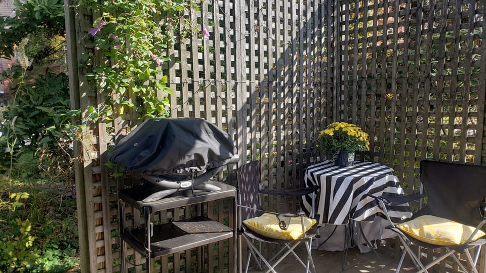 small patio with weber grill