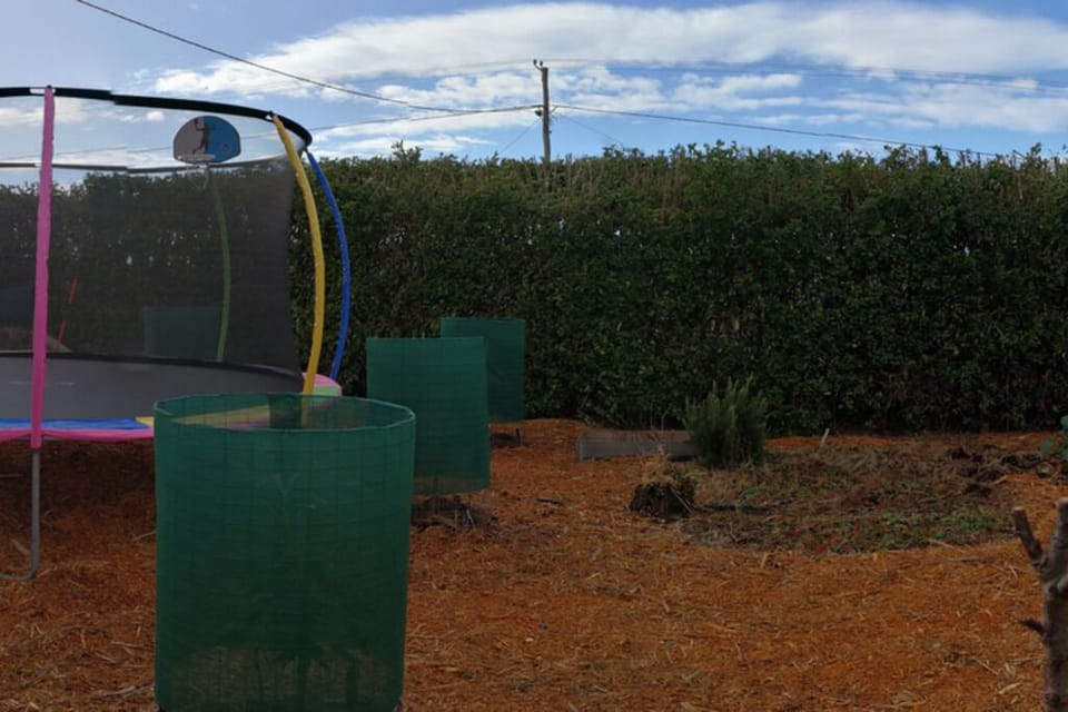 Greenhouse, fruit trees, vege gardens, swing and trampoline.
