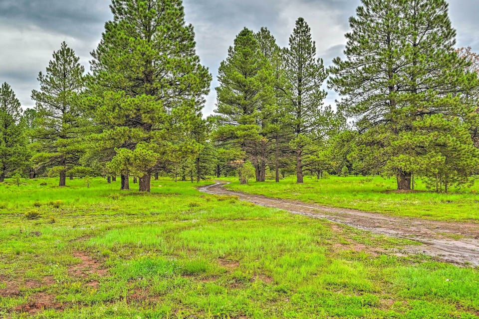 Coconino National Forest