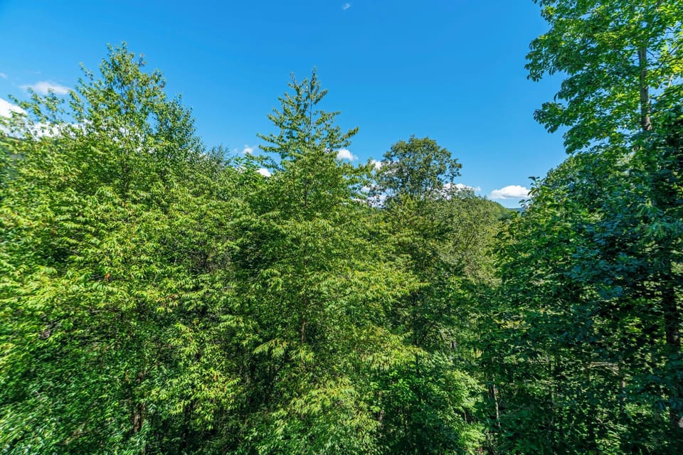 Wooded View
