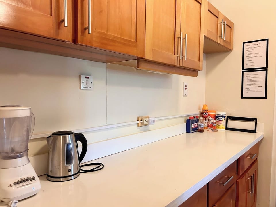 Huge Countertop Kitchen 