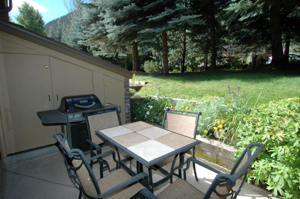 Private outdoor patio and back yard with grill