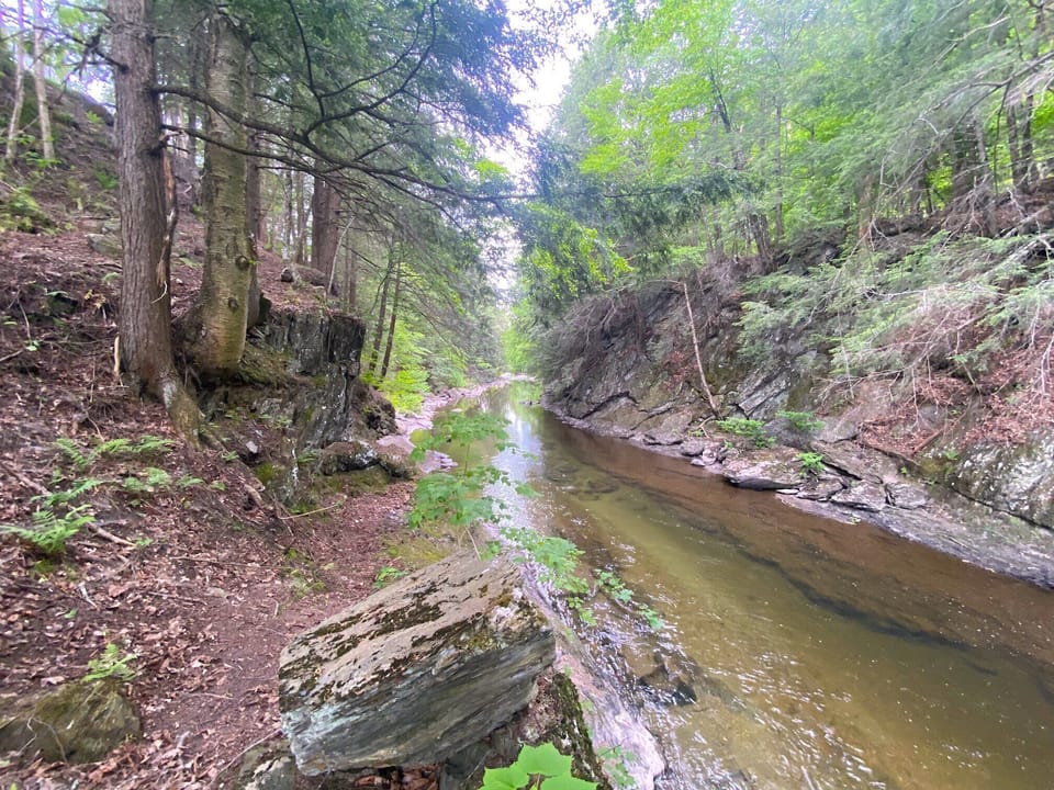 View heading south from the path.