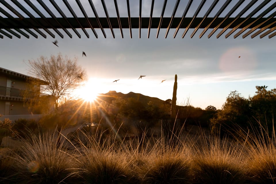 View from property