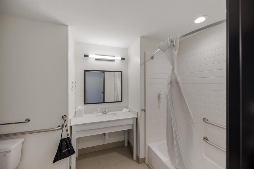 Room, 1 King Bed, Accessible, Bathtub | Bathroom | Combined shower/tub, free toiletries, hair dryer, towels