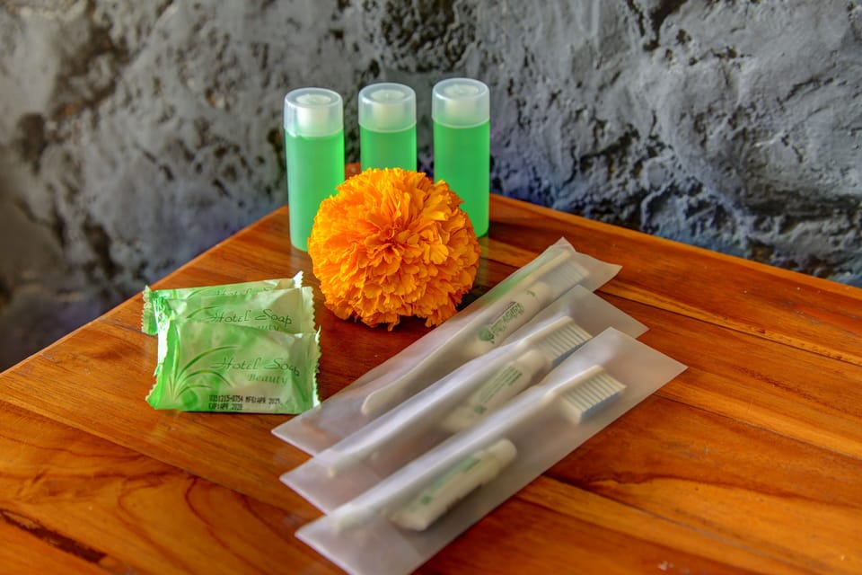 Shower, free toiletries, hair dryer, towels