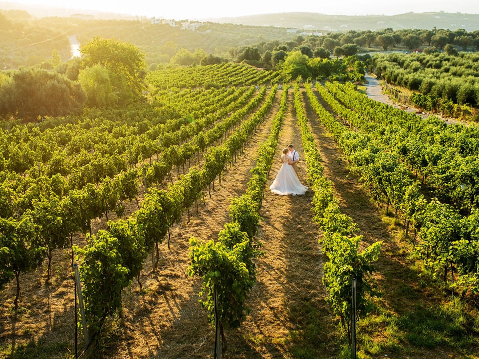 Outdoor wedding area