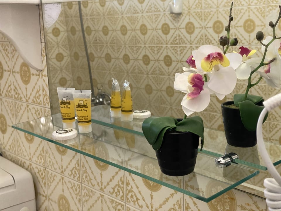 Standard Double Room | Bathroom | Shower, free toiletries, towels