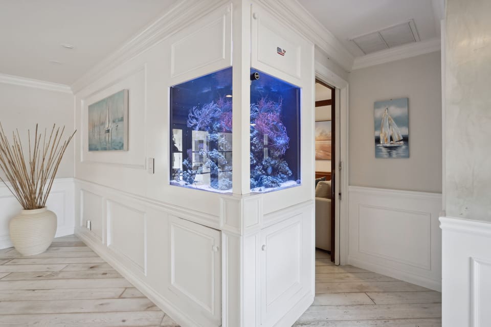 150 Gallon Fish Tank is the Centerpiece of the Home
