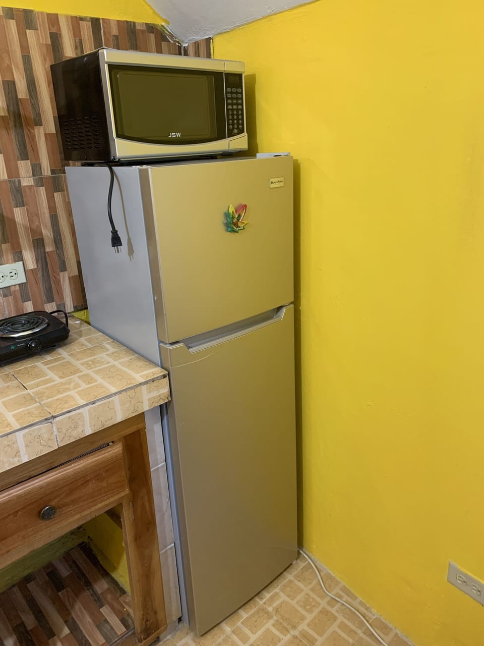 Fridge and microwave
